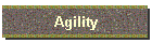 Agility